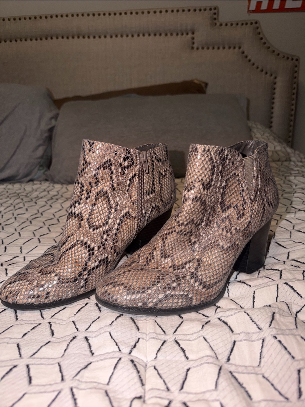 new directions Taupe Snake-Print Ankle Booties